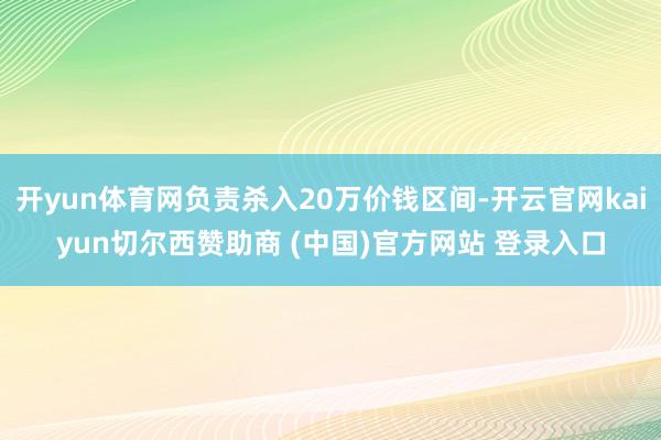 开yun体育网负责杀入20万价钱区间-开云官网kaiyun切尔西赞助商 (中国)官方网站 登录入口