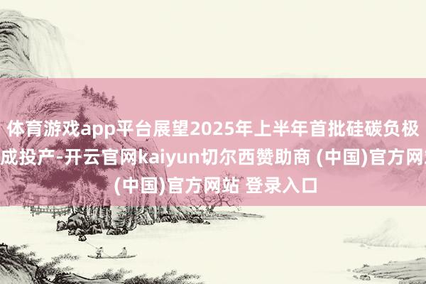 体育游戏app平台展望2025年上半年首批硅碳负极产能有望建成投产-开云官网kaiyun切尔西赞助商 (中国)官方网站 登录入口